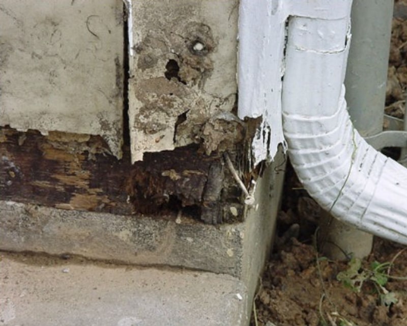 termite-foundation-damage-450x630