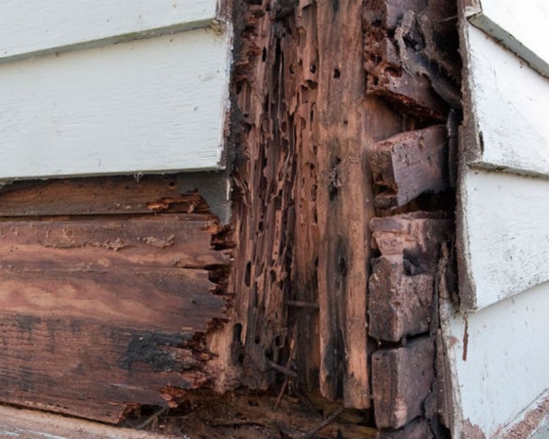 wood-rot-to-outside-home-650x430